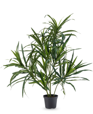 The Artificial Plant Dracaena Reflexa in pot UV 63 cm has long, slender green leaves on thin stems, ideal for adding a touch of tropical flair to your interior against a plain white background.
