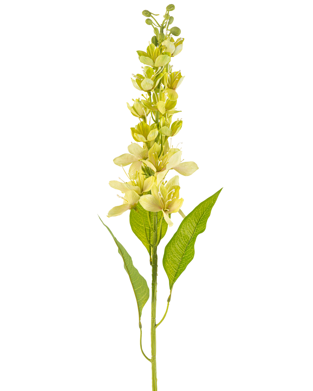 The Artificial Flower Asian Apple 84 cm green has a single high stem with multiple light yellow flowers and elongated green leaves, depicted against a white background.