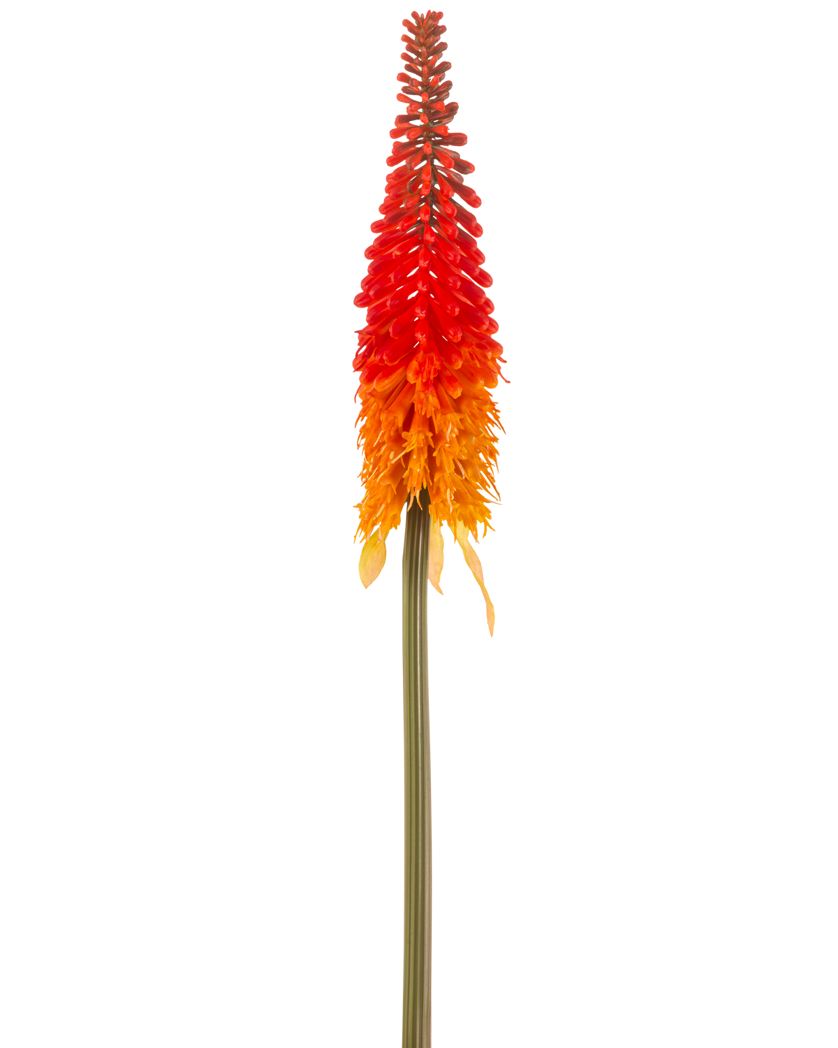 The Artificial Flower Torch Lily 80 cm orange has a tall artificial flower with a long green stem and a cone-shaped cluster of orange petals, against a plain white background.