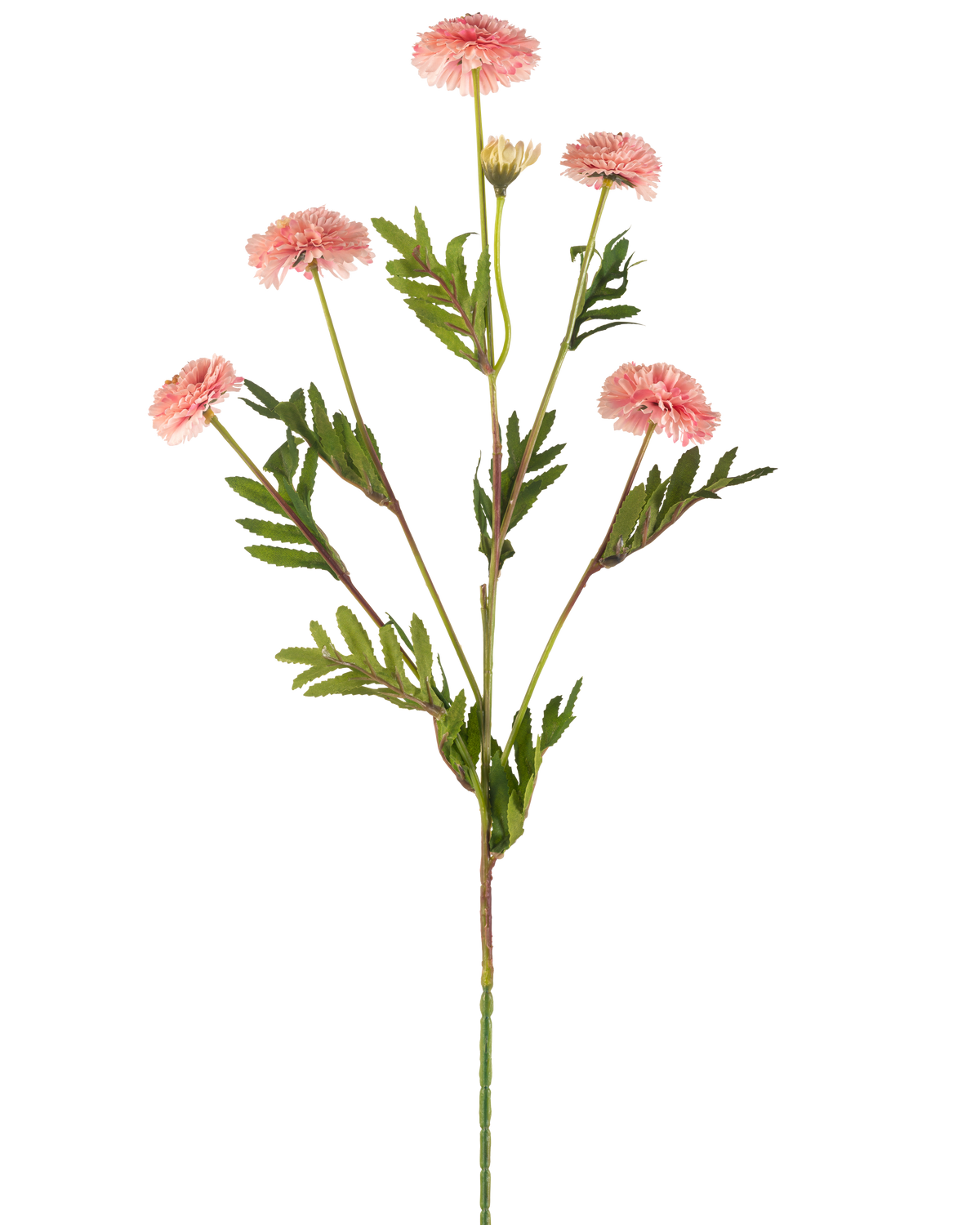 The Artificial Flower Pompon Chrysanthemum 69 cm pink has a single stem with several light pink, round pompon flowers and green, fern-like leaves against a white background.