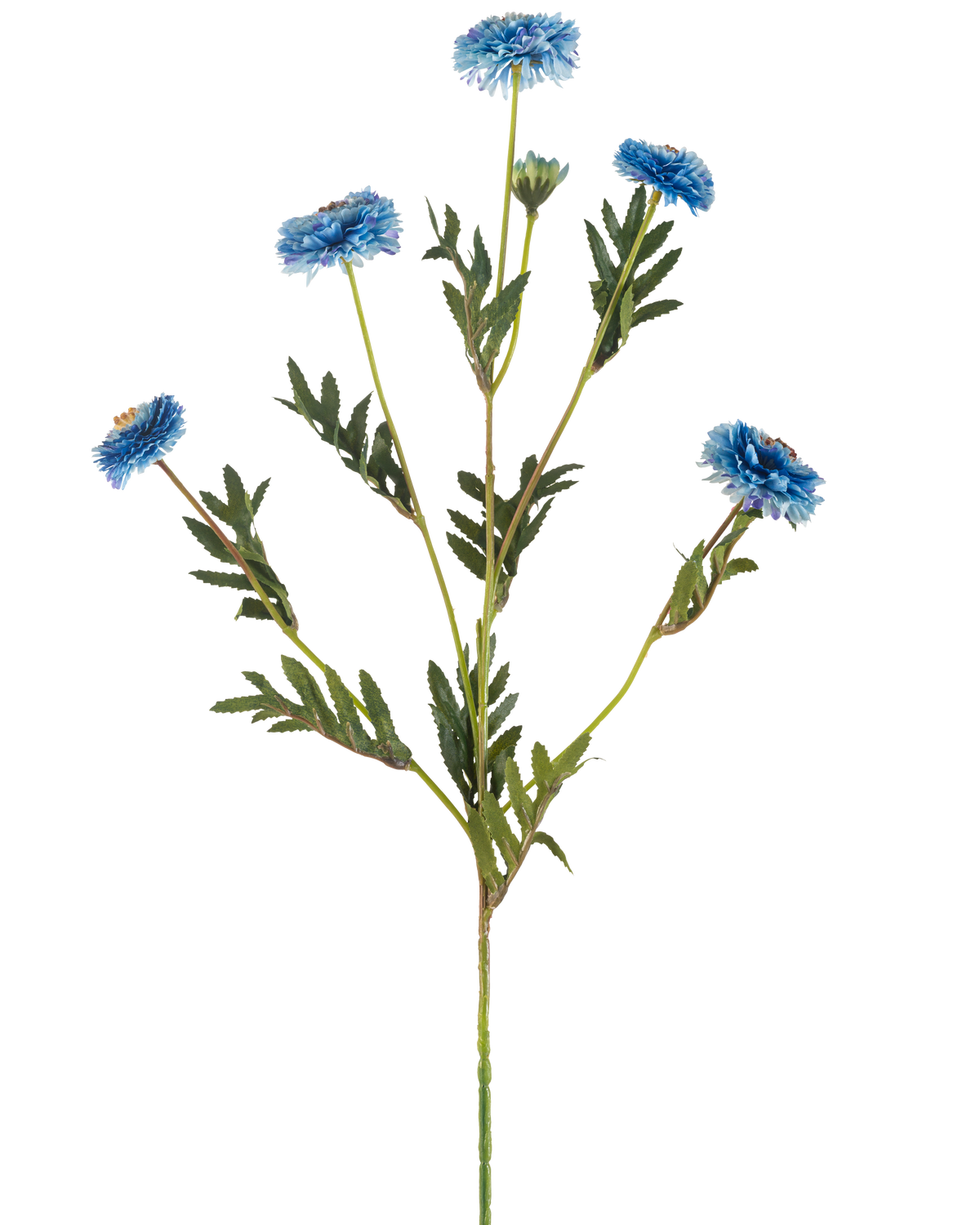 The Artificial Flower Pompon Chrysanthemum 69 cm blue has a single green stem with several branches, six blue artificial flowers with yellow hearts and narrow green leaves, all on a white background.