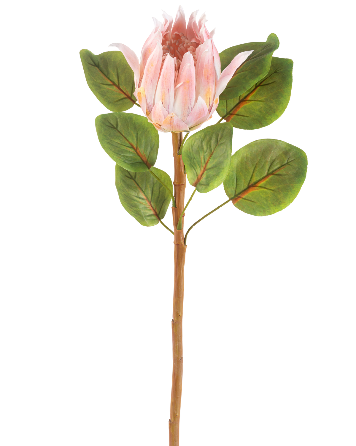 The Artificial Flower Protea 65 cm pink is a single artificial pink protea flower with large green leaves and a long brown stem, against a plain white background.