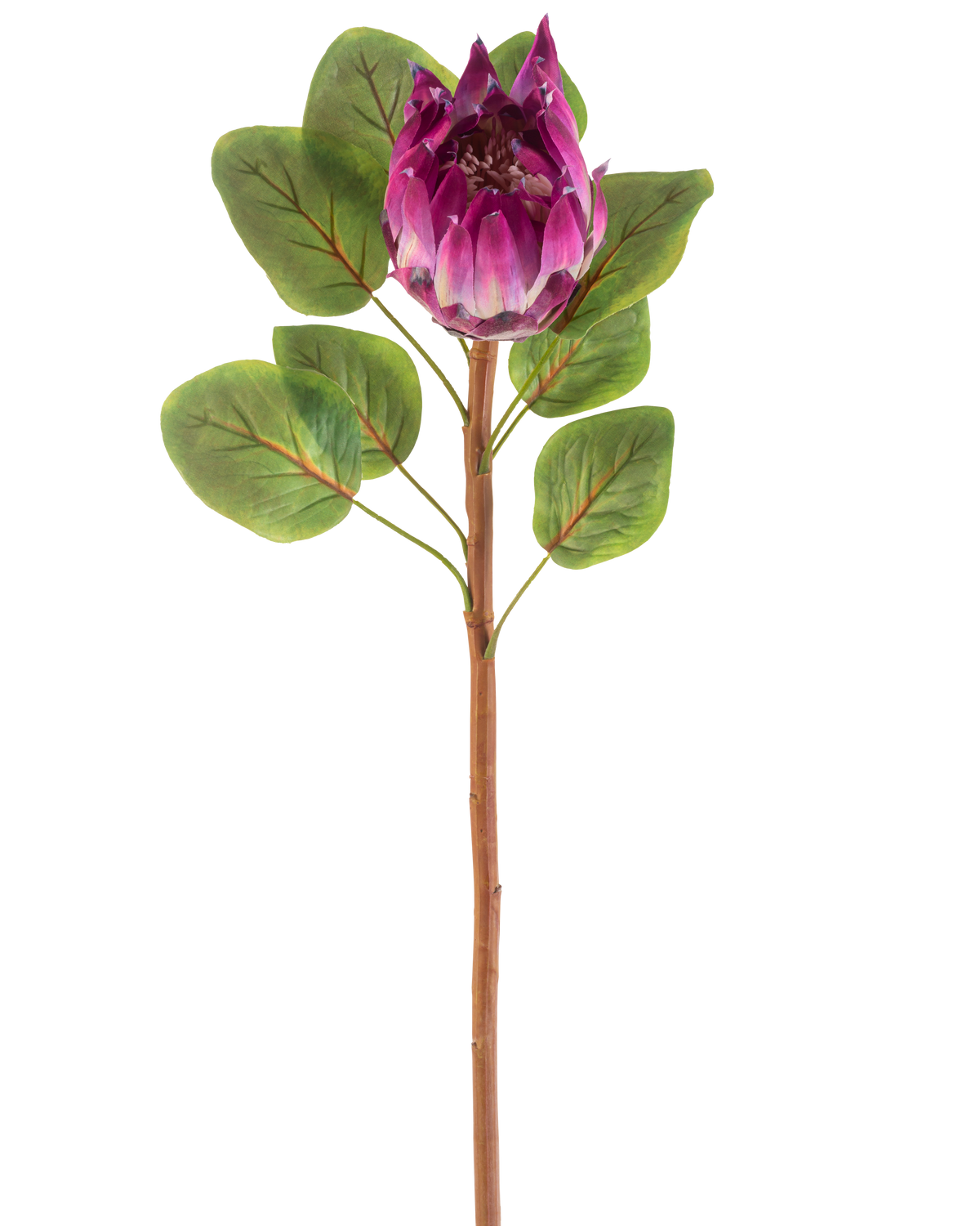 The Artificial Flower Protea 65 cm purple has a single artificial purple protea flower with green leaves and a long brown stem, against a white background.
