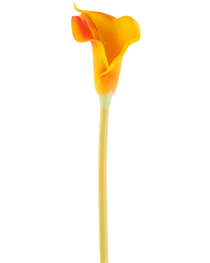 The Artificial Flower Calla 64 cm orange has a single orange calla lily with a long, slender stem, isolated on a white background.