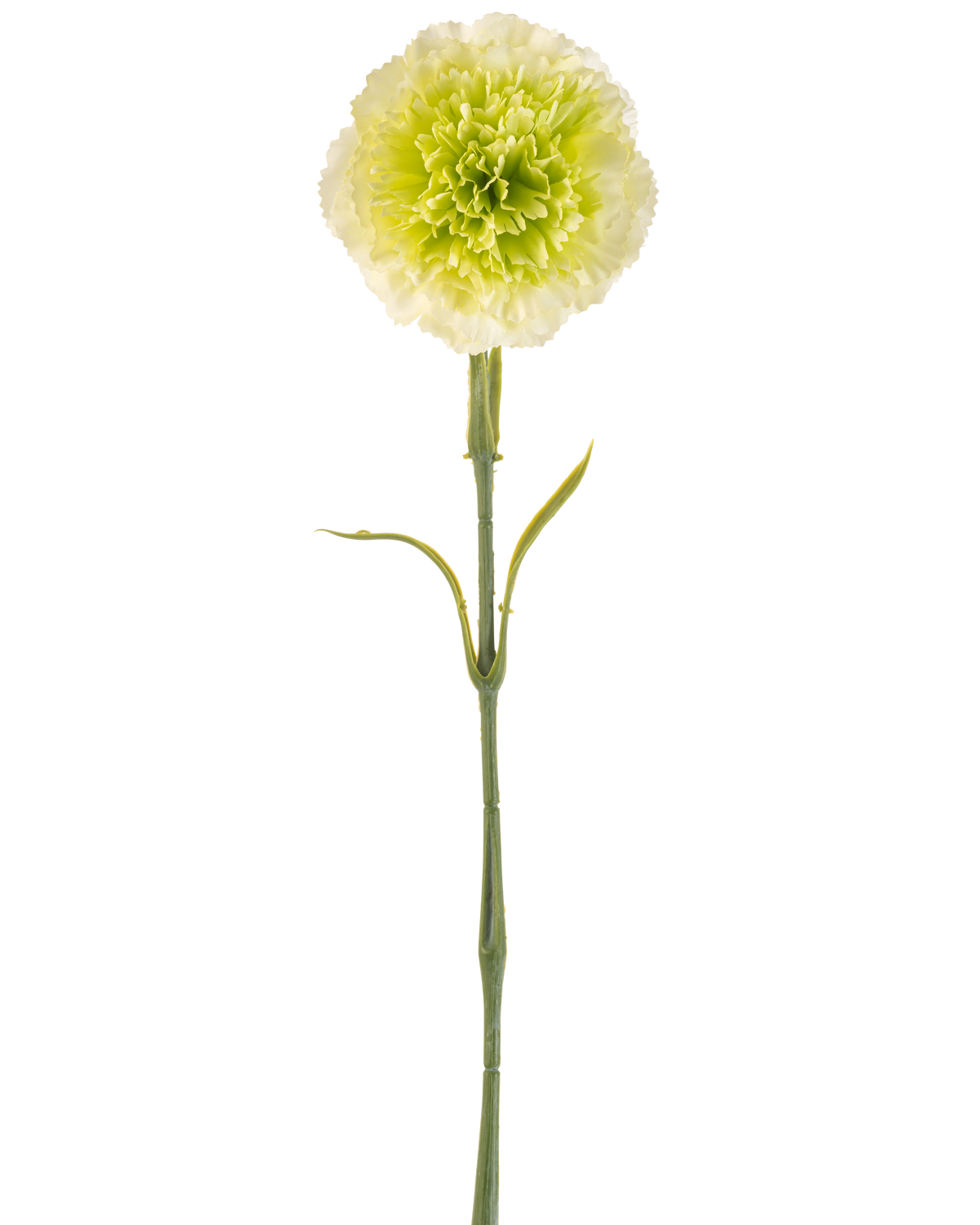 The Artificial Flower Carnation 57 cm light green is an artificial light green carnation with ruffles in the petals and a long stem, depicted against a plain white background.