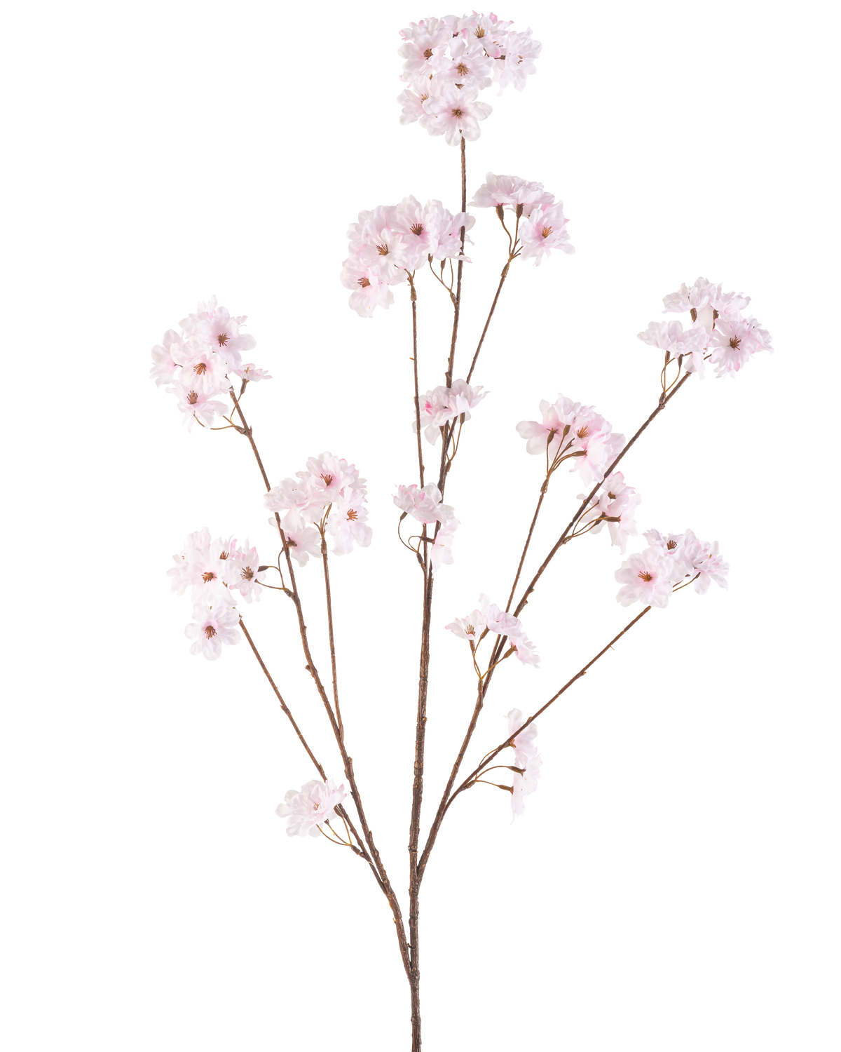 The Artificial Flower Cherry Blossom 130 cm light pink has several thin stems with bunches of delicate light pink cherry blossoms, beautifully arranged and isolated on a white background.