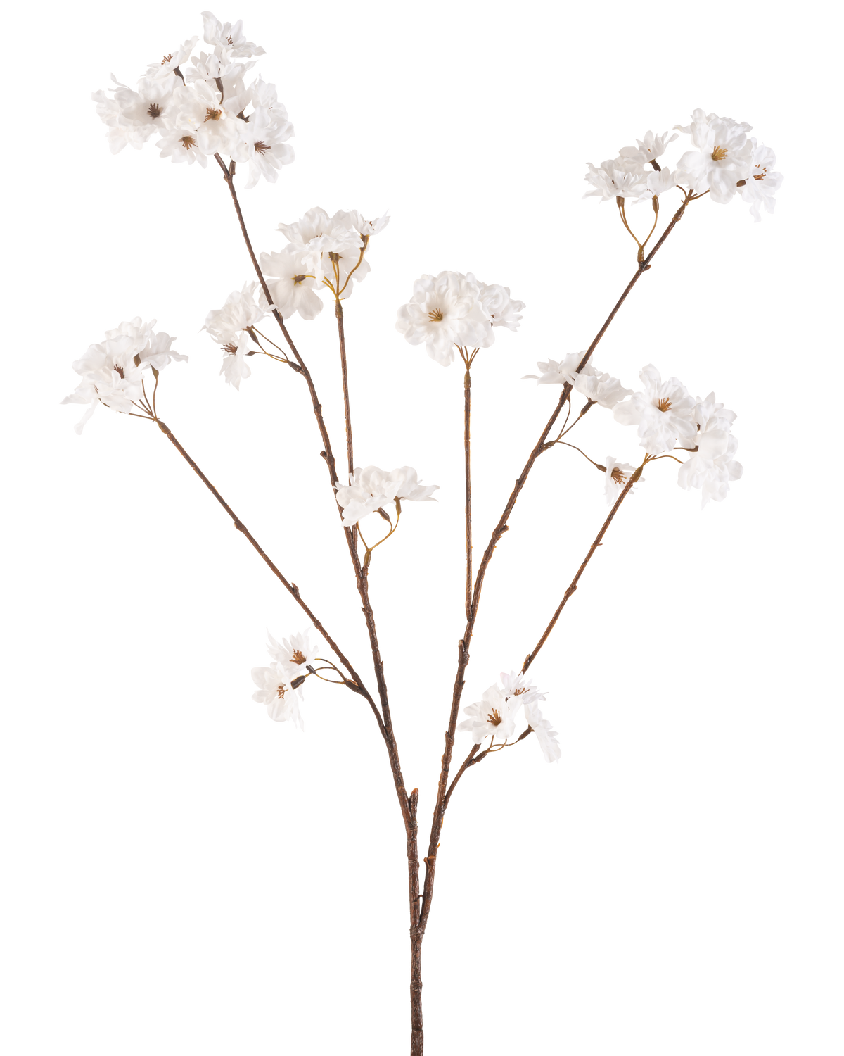 The Artificial Flower Cherry Blossom 114 cm cream has a brown stem that branches into smaller stems, each decorated with delicate artificial flowers in a creamy white shade, against a plain white background.
