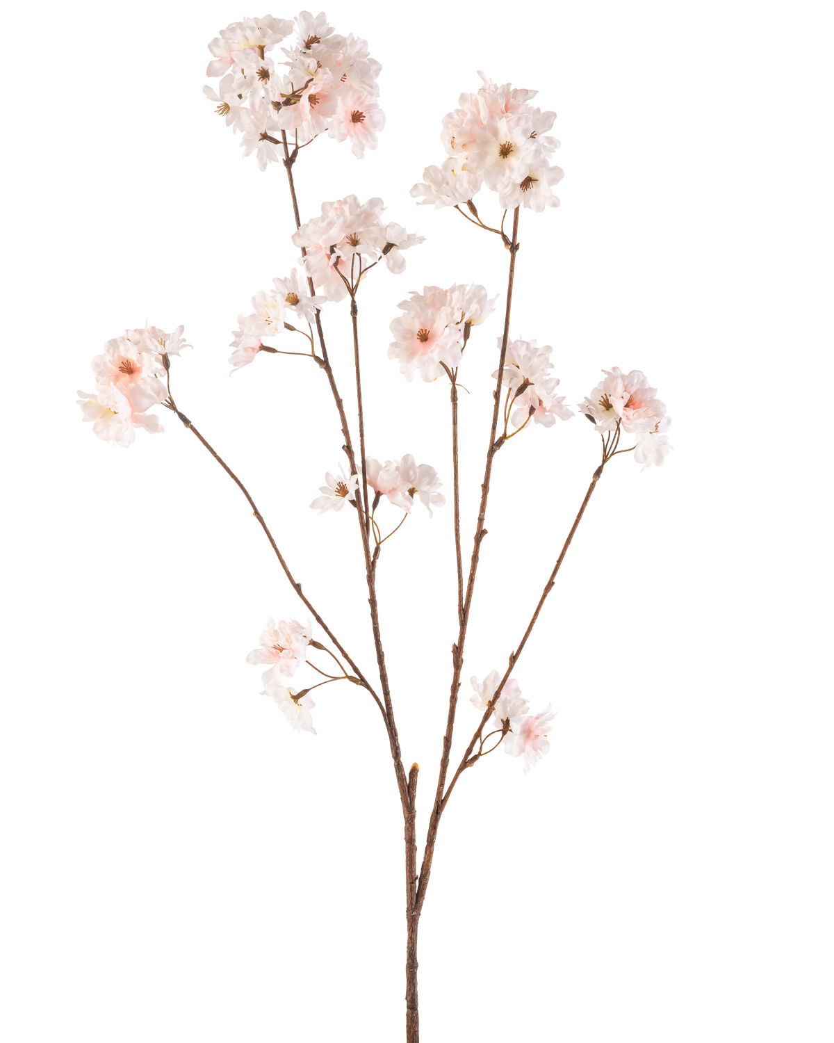 The Artificial Flower Cherry Blossom 114 cm blush has a single brown stem with several branches topped with delicate, blush pink cherry blossom flowers, beautifully isolated on a white background.