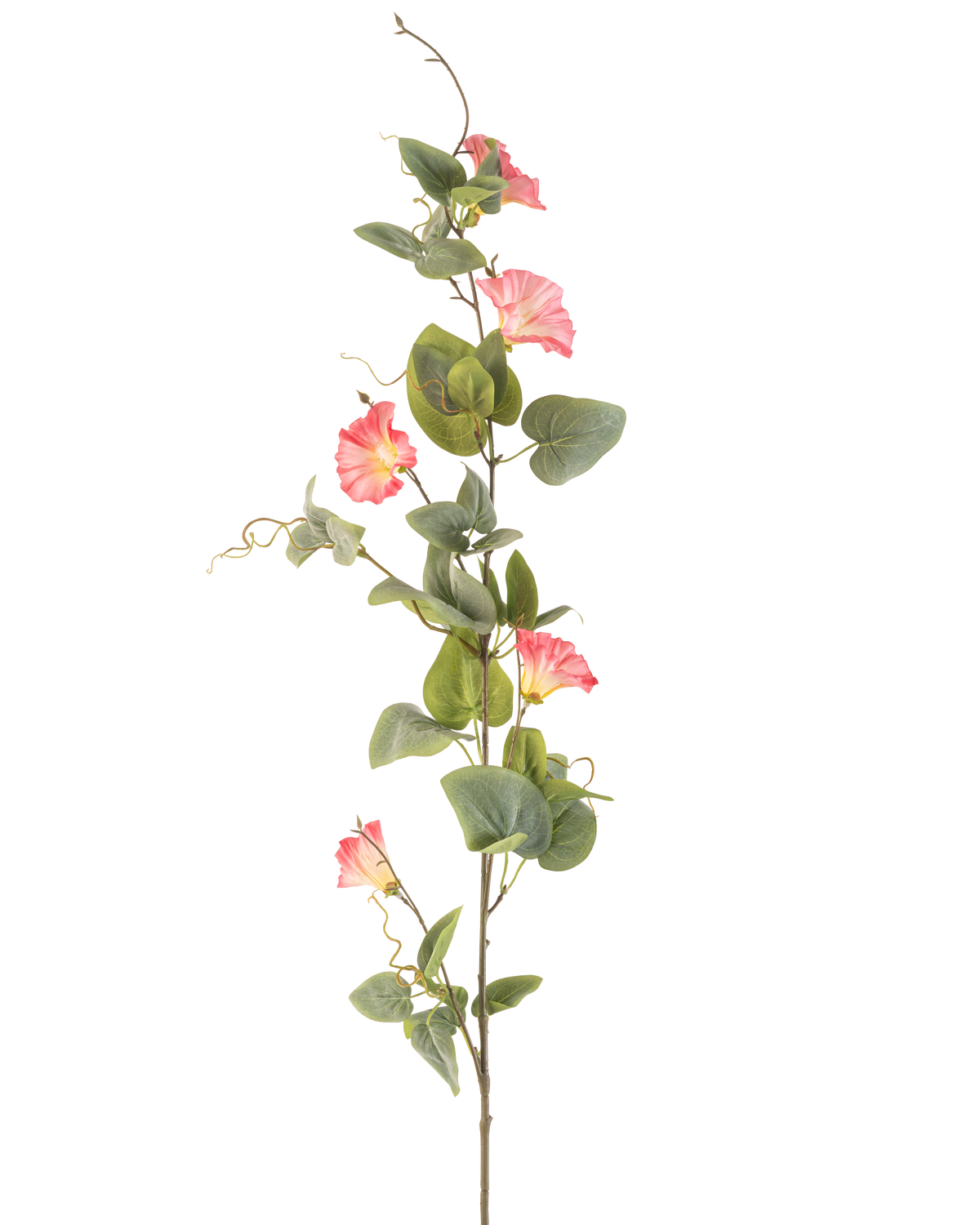 The Artificial Flower Bindweed 122 cm pink has a single high stem with green leaves, multiple pink trumpet-shaped flowers and curly tendrils against a white background.