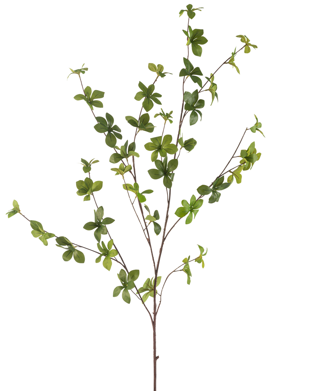 The Artificial Flower Enkianthus 119 cm green has a single, slender branch with multiple offshoots and small, vibrant green leaves, isolated on a white background.