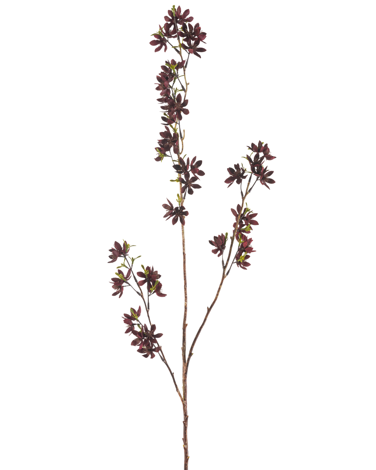 The Artificial Flower Flowers 102 cm burgundy has a high branch with several thin stems, each with small, dark burgundy flowers and a few green leaves, against a plain white background.