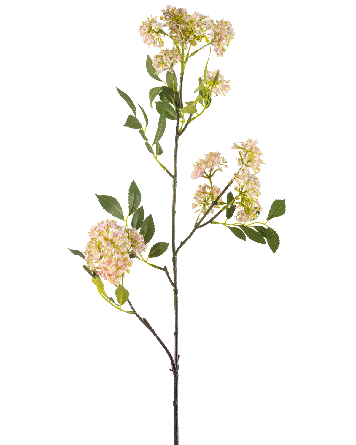 The Artificial Flower Wild Carrot 102 cm purple has a long, slender stem with bunches of small purple flowers and green leaves, isolated on a white background.