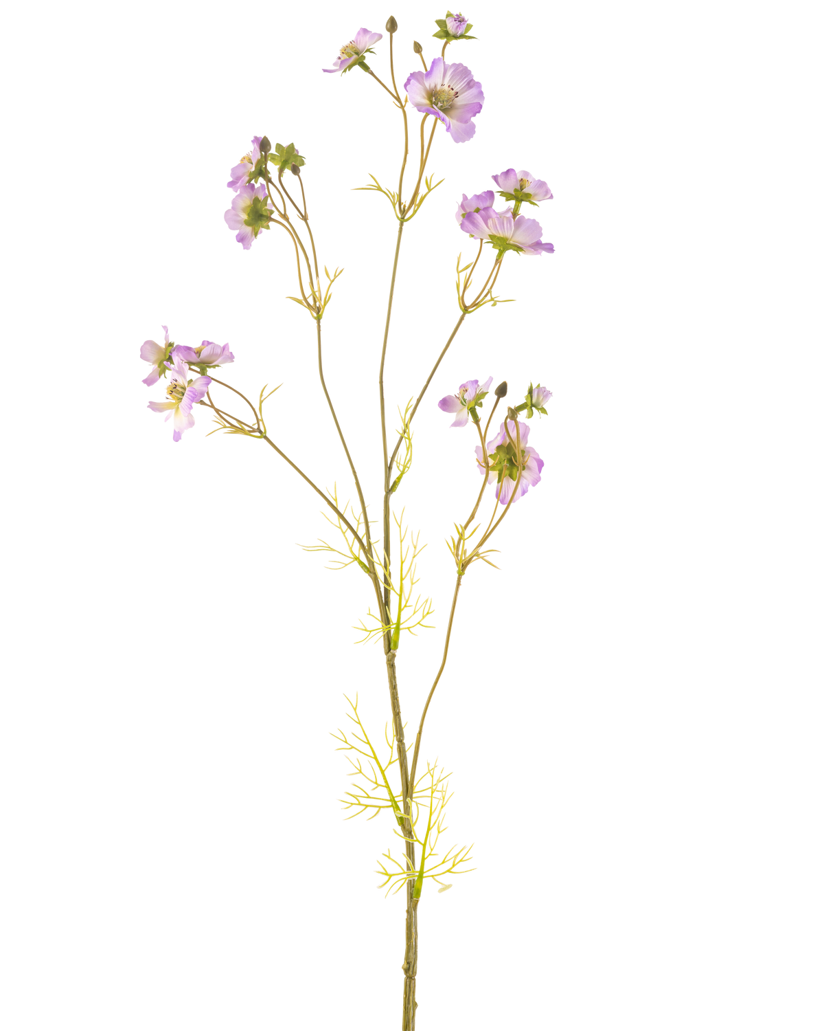 The Artificial Flower Cosmos 95 cm lilac has a delicate stem with several light purple flowers and small green leaves, beautiful against a plain white background.