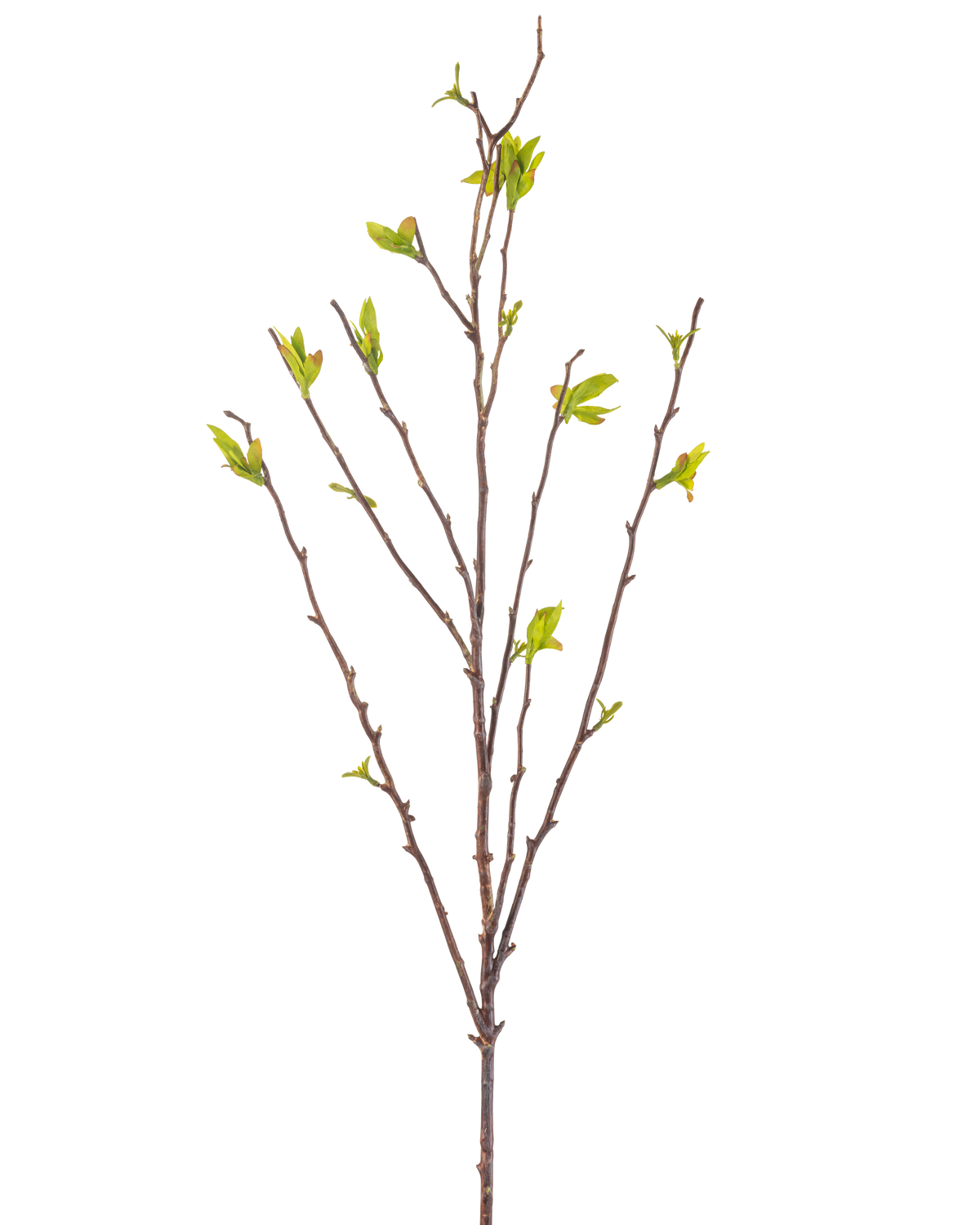 The Artificial Flower Winterzoet 81 cm green is an artificial branch with thin brown stems and small green leaves against a white background.