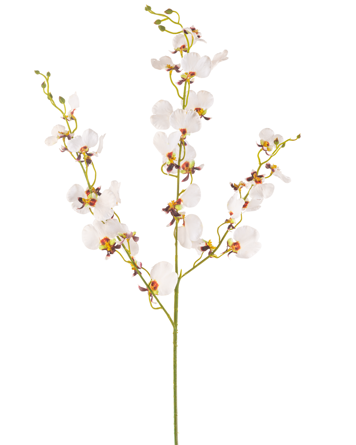 The Artificial Flower Orchid 98 cm cream is a single artificial cream orchid stem with multiple delicate flowers and multiple buds, with yellow and purple centers, isolated on a plain white background.