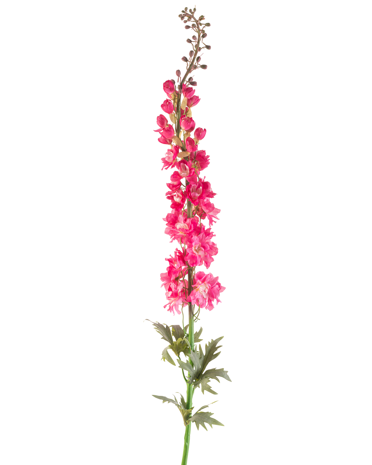 A single Artificial Flower Larkspur 137 cm in bright pink with green leaves, isolated on a white background.