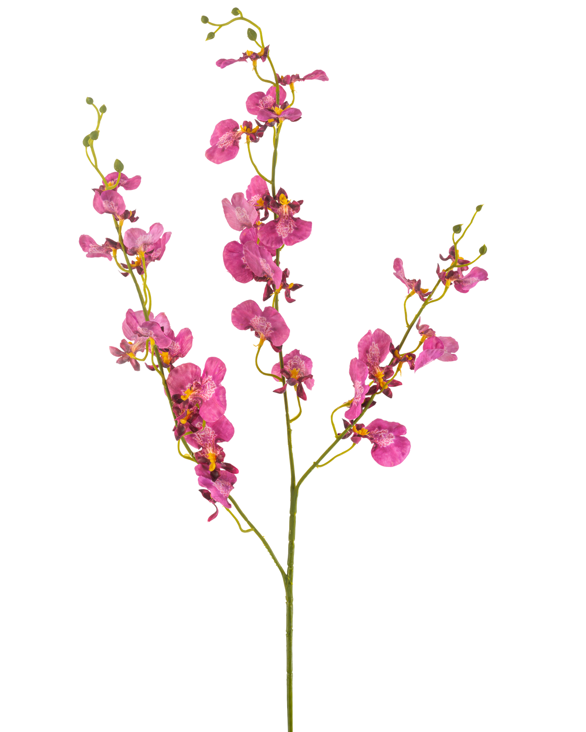 The Artificial Flower Orchid 98 cm fuchsia has vibrant pink orchid blossoms and buds on long, slender green stems, beautiful against a white background.