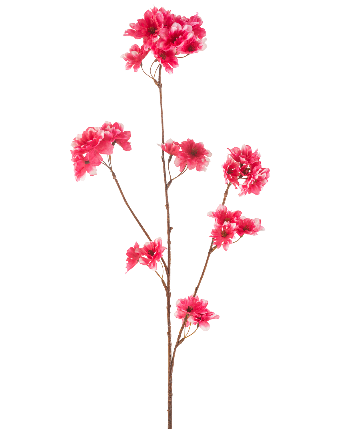 The Artificial Flower Cherry Blossom 85 cm fuchsia has a single brown stem with multiple branches, each decorated with clusters of vibrant fuchsia artificial cherry blossoms, against a plain white background.