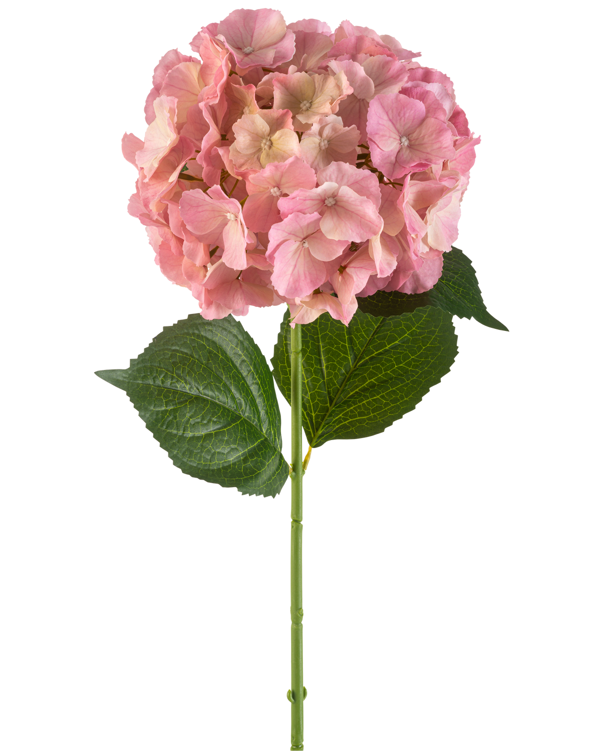 The Artificial Flower Hydrangea 75 cm pink has a single pink hydrangea flower with fine petals and two large green leaves on a long green stem, against a white background.