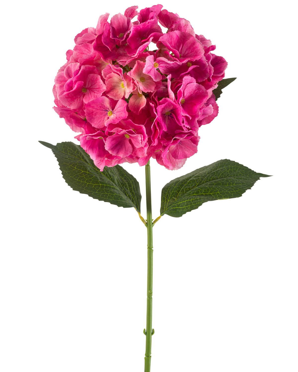 A single stem of Artificial Hydrangea flower 75 cm bright pink with bunches of bright pink petals and some green leaves, against a plain white background.