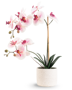 The Artificial Orchid Real Touch 60 cm pink/white has light pink and white flowers with dark green leaves, supported by a bamboo stick, against a plain white background.