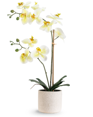 The Artificial Orchid Real Touch 60 cm green/white has white flowers with a light yellow heart and green buds, supported by bamboo in a simple cream-colored speckled pot, against a white background.