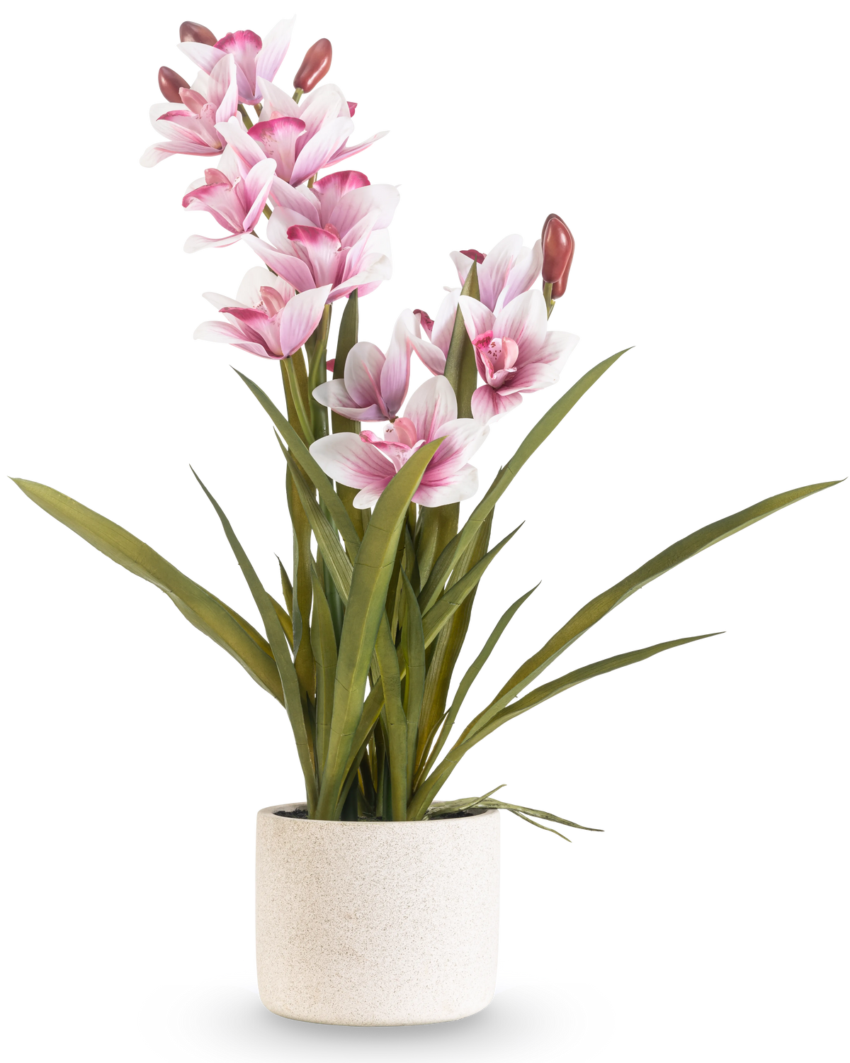 The Artificial Cymbidium Real Touch 60 cm pink has long green leaves and multiple pink and white orchids on long stems, arranged in a simple off-white textured pot against a plain background.