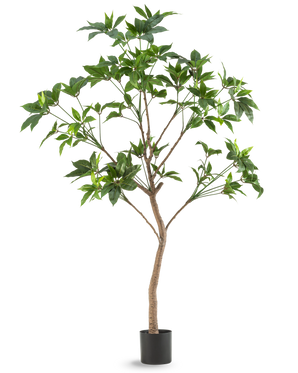 The Artificial Plant Schefflera 180 cm is a tall artificial tree with green leaves and a slender brown trunk in a black pot, depicted against a plain white background.