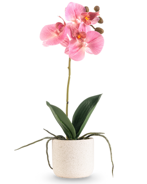 The Artificial Orchid Real Touch 30 cm pink has several pink blossoms and buds on a long stem with wide green leaves and visible roots, all arranged in a simple white textured pot against a plain white background.