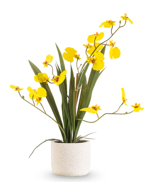 The Artificial Oncidium Real Touch 48 cm yellow has long, slender leaves and long stems with bright yellow orchids in a white pot, against a plain white background.