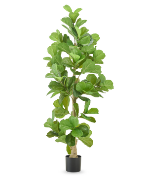 The Artificial Tobacco Plant 210 cm is a tall artificial tobacco plant with wide, glossy green leaves in a black pot, isolated on a white background.