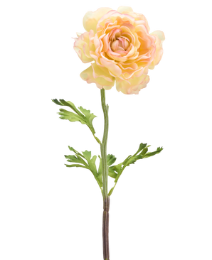 An Artificial Flower Ranunculus 51 cm light white: a single pale artificial ranunculus flower with light white petals, green leaves and a long stem against a white background.