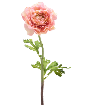 The Artificial Flower Ranunculus 51 cm pink has a single pink ranunculus with layered petals and green leaves on a long stem, isolated against a white background.