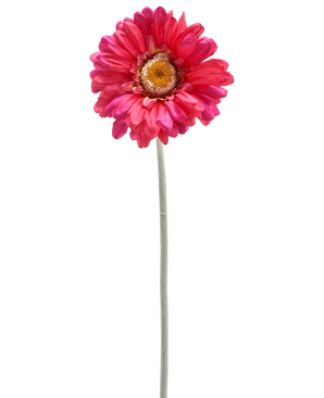A single Artificial Gerbera flower 53 cm burgundy with a long green stem, isolated on a white background.