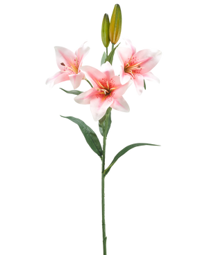 A single stem of Artificial Flower Lily 78 cm white/pink has three pink and white lilies in bloom, two closed buds and green leaves, against a plain white background.
