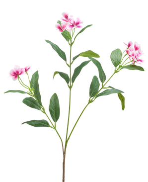 An Artificial Catharanthus flower 68 cm in fuchsia/cream with long, slender green leaves and clusters of five-petalled flowers is shown against a plain white background.