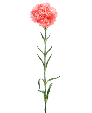 The Artificial Flower Carnation 68 cm salmon pink is a single artificial carnation with ruffles of salmon pink petals, a long green stem and several green leaves, isolated on a white background.