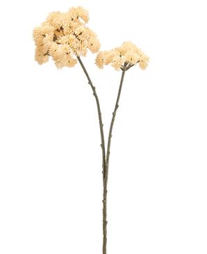 Two tall Artificial Flower Sedums measuring 70 cm with cream-colored stems with green-brown stems and bunches of cream-colored, spiky pom-pom flowers are shown against a plain white background.