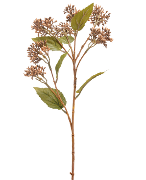 The Artificial Flower Sedum 67 cm brown has a single brown and green artificial plant stem with bunches of small brown buds and several green leaves, isolated on a white background.