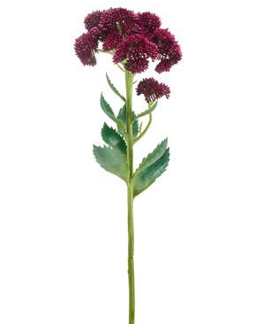 A single Artificial Flower Sedum 57 cm purple has a long green stem with bunches of small dark purple flowers and green leaves, isolated on a white background.