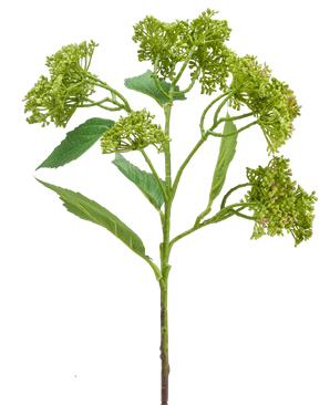 An Artificial Flower Hydrangea 56 cm green/red with a green stem with bunches of compact green buds and elongated leaves, depicted against a white background.
