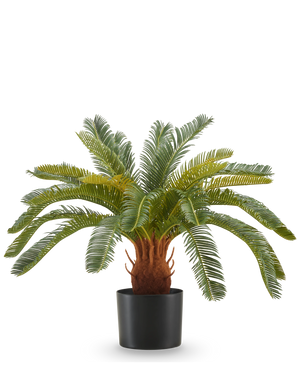 The Artificial Plant Cycas UV 60 cm has long, curved green leaves and a thick, brown stem with texture in a black pot, against a white background.