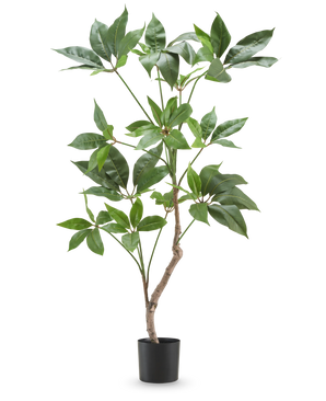 The Artificial Plant Schefflera 90 cm is a tall artificial plant with broad green leaves and a slender brown stem, displayed in a simple black pot against a plain white background.