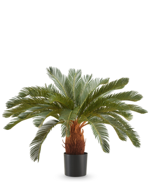 The Artificial Plant Cycas UV 90 cm has long, curved green leaves and a thick brown stem in a black pot, against a plain white background.