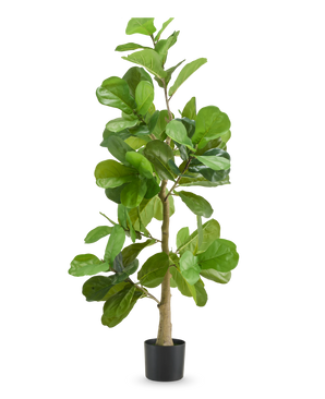 The Artificial Tobacco Plant 150 cm is a tall artificial plant with wide, glossy green leaves and a slender stem, displayed in a simple black pot against a plain white background.