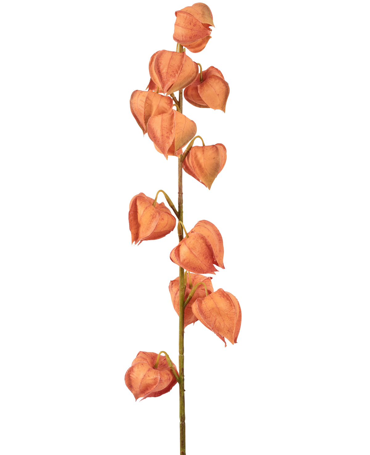 The Artificial Flower Lantern Plant 79 cm orange has a single stem with multiple orange, lantern-shaped husks, arranged vertically and resembling dried physalis, on a plain white background.
