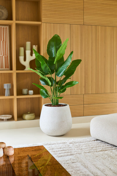 A large Artificial Plant Strelitzia Real Touch Deluxe of 150 cm in a white planter stands on a light floor in a modern living room with wooden paneling, shelves and a decor in neutral tones, giving this refined space an elegant, lifelike appearance.