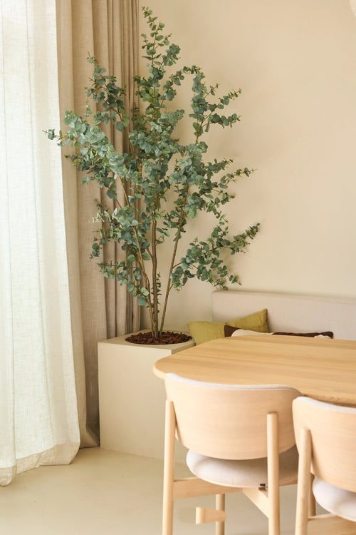A minimalist dining area with a light wood table and chairs, neutral cushions on a bench and the Artificial Eucalyptus 180 cm plant – a tall green potted plant – standing next to beige curtains, all bathed in soft natural light.