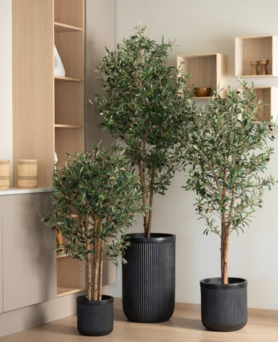 Three indoor trees in pots, including an Artificial olive tree UV 180 cm with green leaves in black textured pots, are in a modern, minimalist room with light wooden shelves and neutral colored walls.