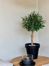 Artificial olive tree 85 cm UV - Easyplants Artificial Plants & Flowers